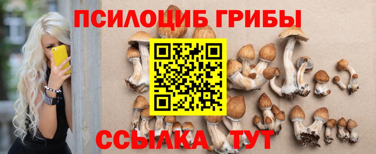 Псилоцибиновые грибы мицелий Печора